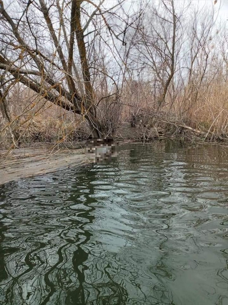 Знайшли тіло 17-річного парубка, який зник у с. Заайдарівка