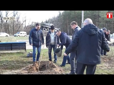 Посадили берізки біля танка | Новини Старобільськ