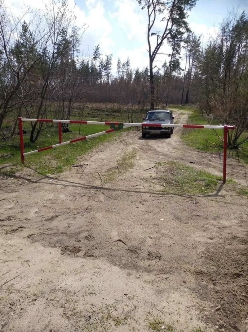 Заходи для уникнення лісових пожеж