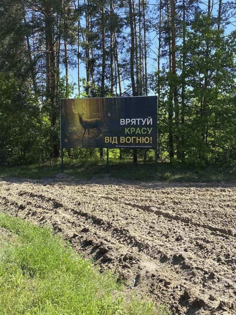 Заходи для уникнення лісових пожеж