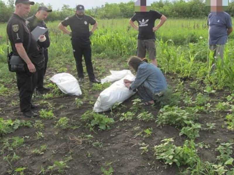 У Вишневому затримали наркоаграрія | Новини Старобільськ