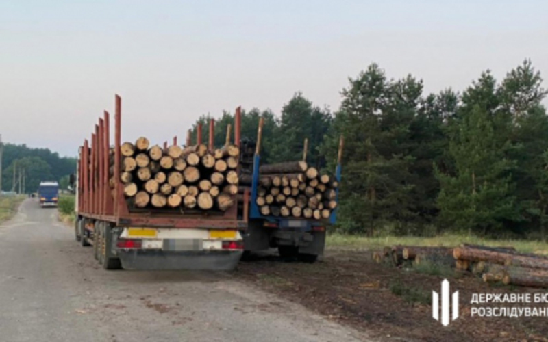 Затримали крадіїв лісу