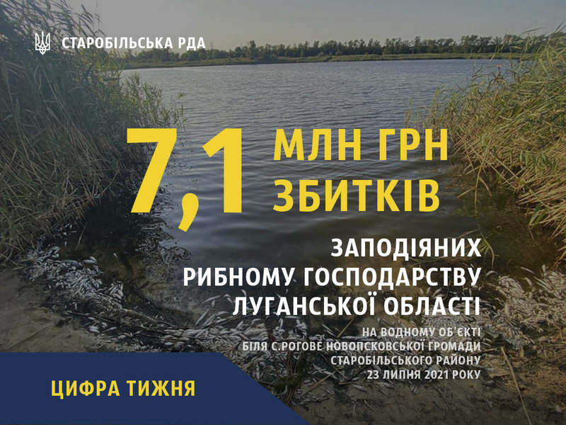 Підраховані збитки внаслідок рибного мору у Роговому | Новини Старобільськ