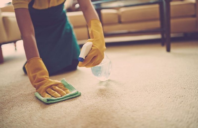 Как чистить ковры дома 