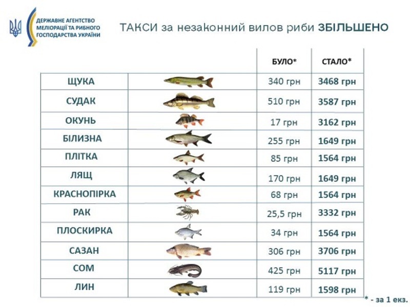 Збільшили такси за незаконний вилов риби | Новини Старобільськ