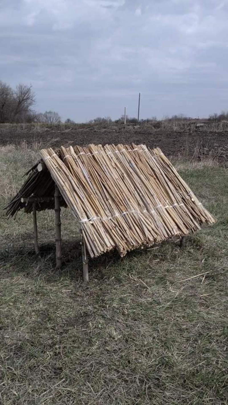 Лісгосп готується до зими