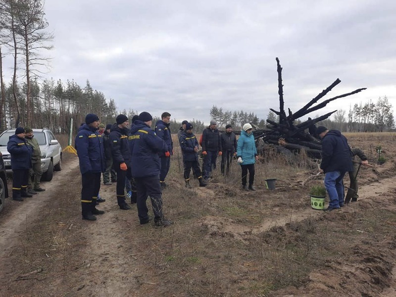 Продовжують садити ліс | Новини Старобільськ