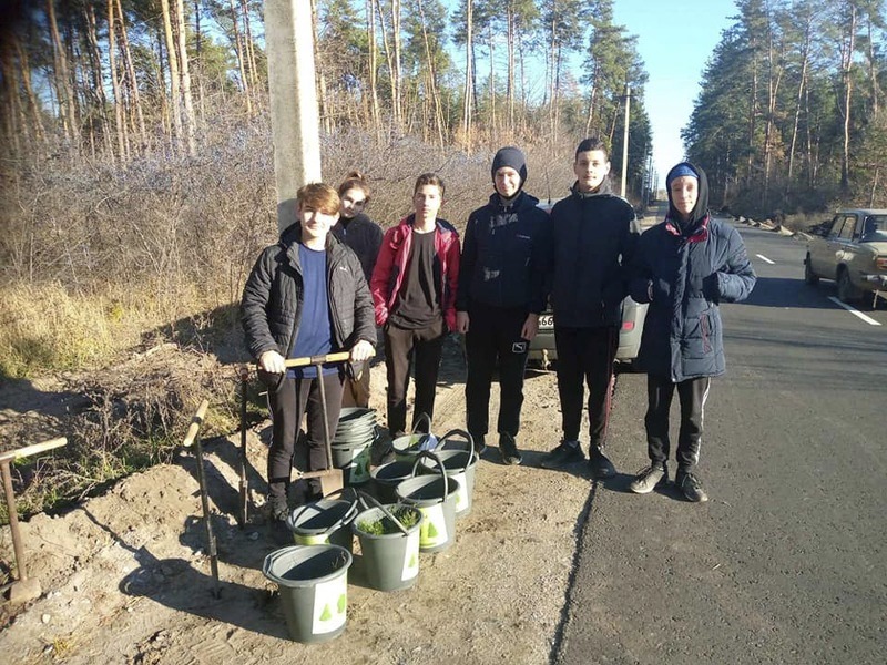 Продовжують садити ліс | Новини Старобільськ