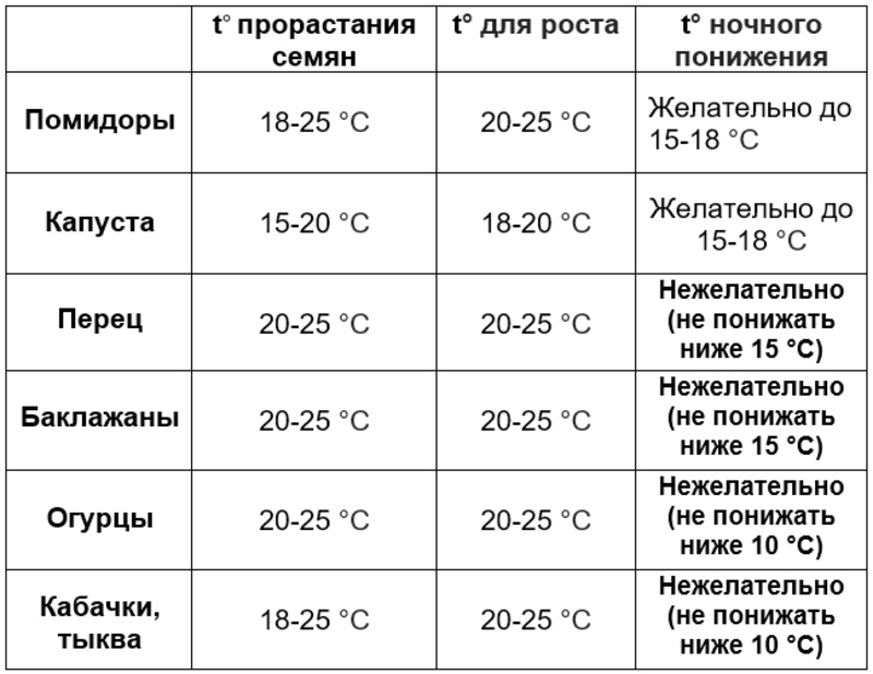 Рассада своими руками