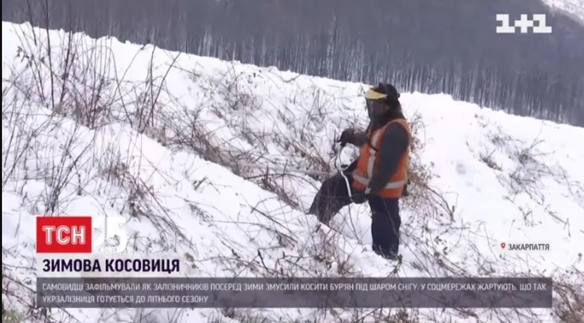 На Закарпатье косили траву в снег