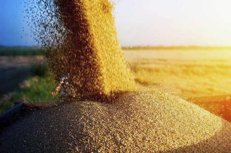 Окупанти намагаються вивезти зерно з захоплених територій