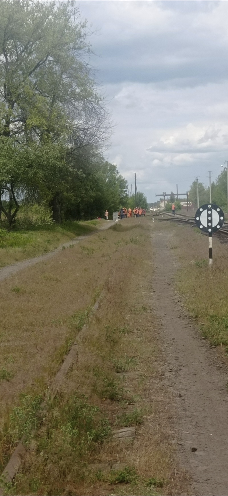 Рашисти будуть ждгілку аби вивезти зерно з елеватору | Новини Старобільськ