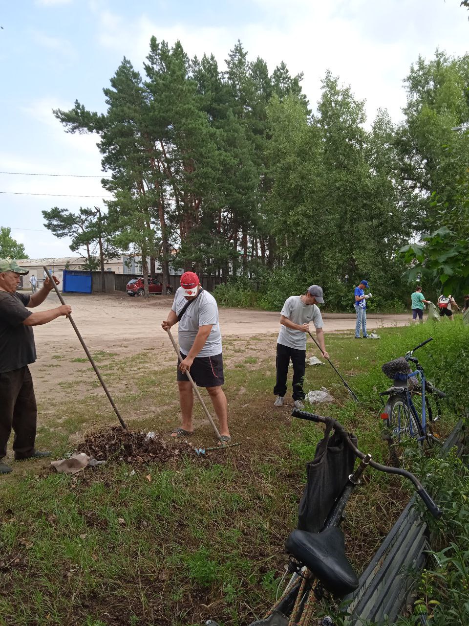 Як "єдинороси" прибирали парк в Новопскові