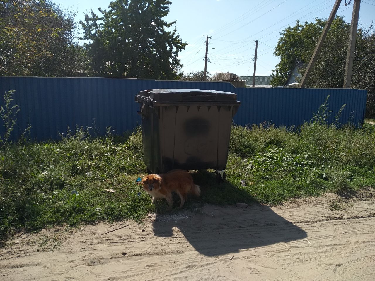 Новопсковські загарбники вихваляються встановленням сміттєвих контейнерів