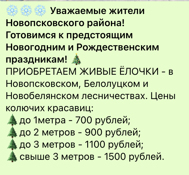 Ціни на новорічні ялинки на ТОТ