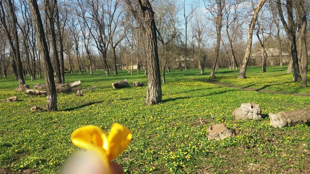 Спротив нагадує про себе