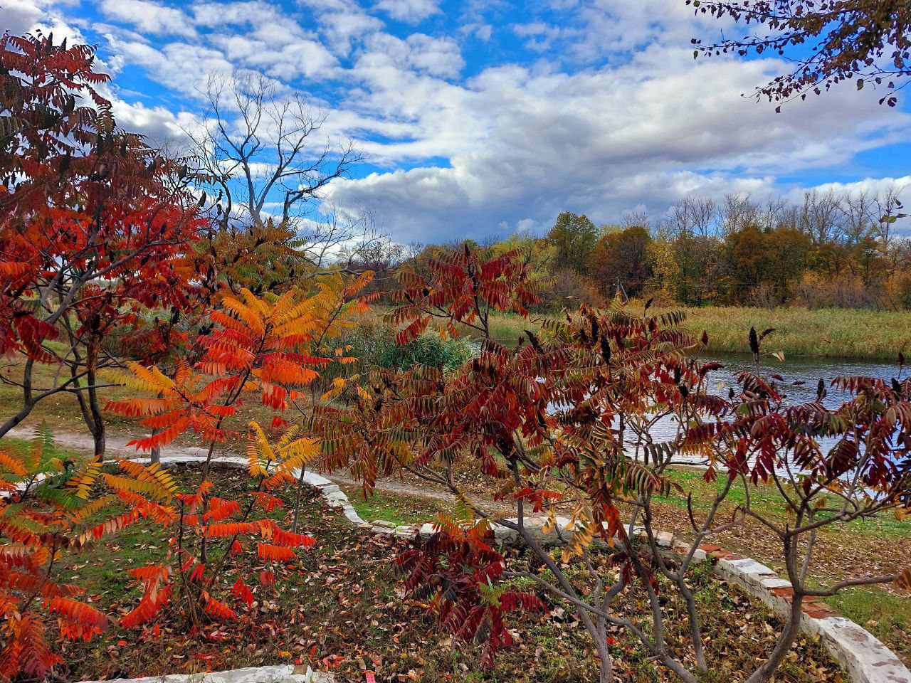 Просто кілька свіжих фотографій з окупованого Старобільська | Новини Старобільськ