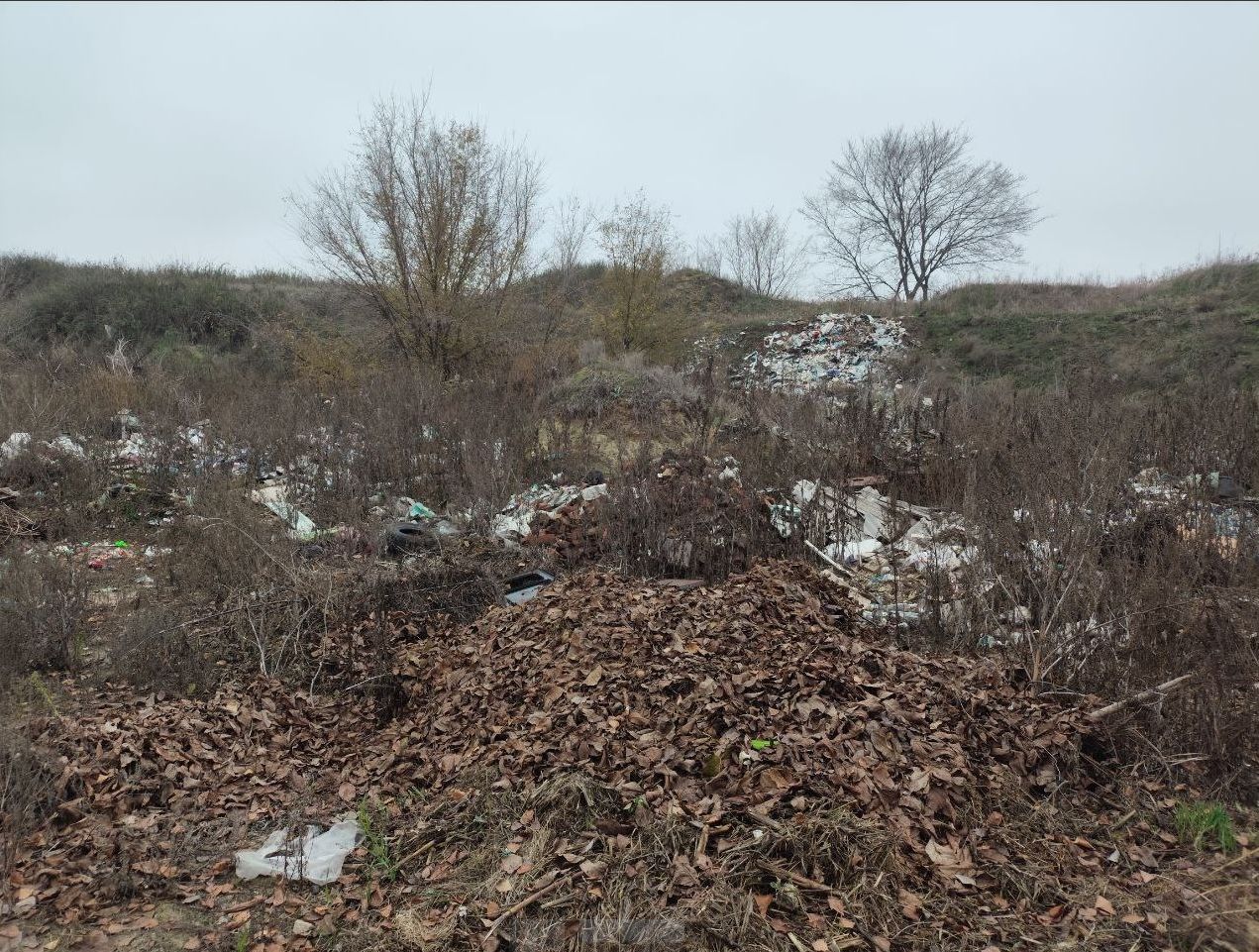 Коротко: новини зі Старобільщини