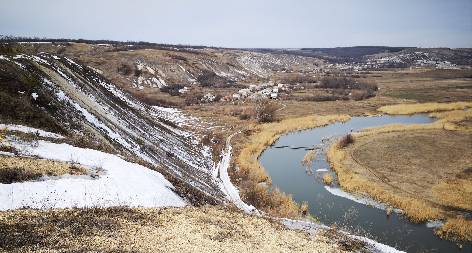 У піщаному кар’єрі біля Ікового знайшли рештки давніх черепах