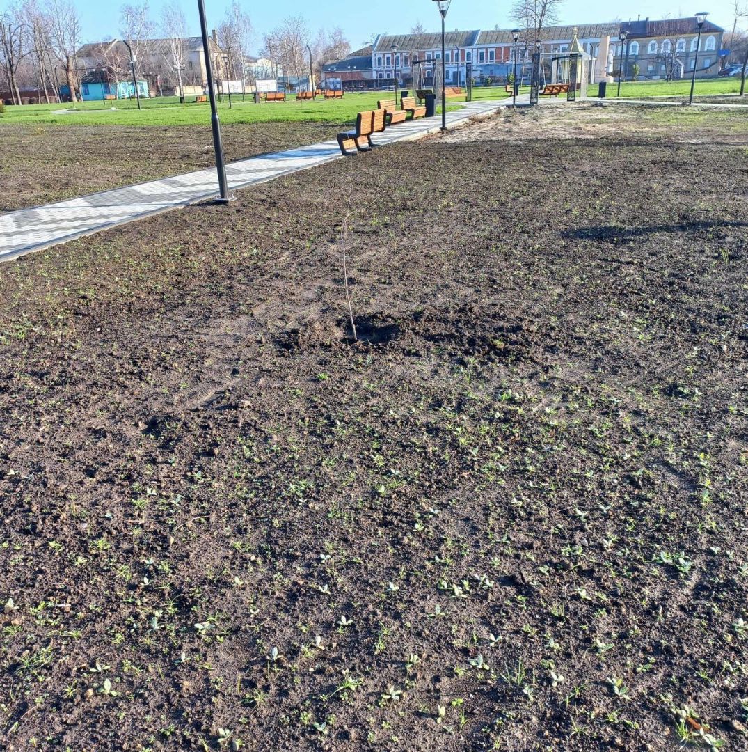 Прогулянка по місту - розчарування від старобільчанки  | Новини Старобільськ