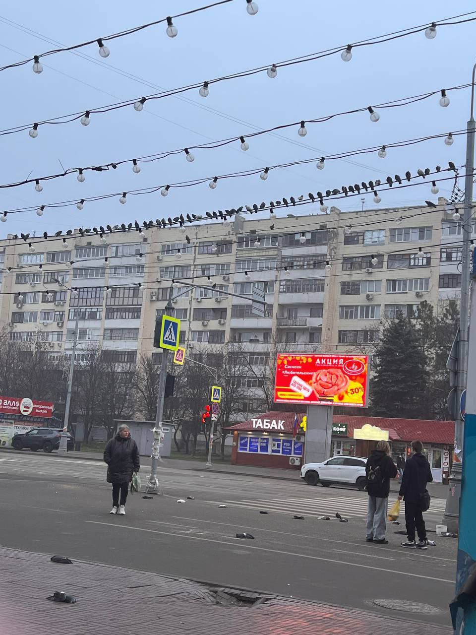 У Луганську масово вмирають голуби