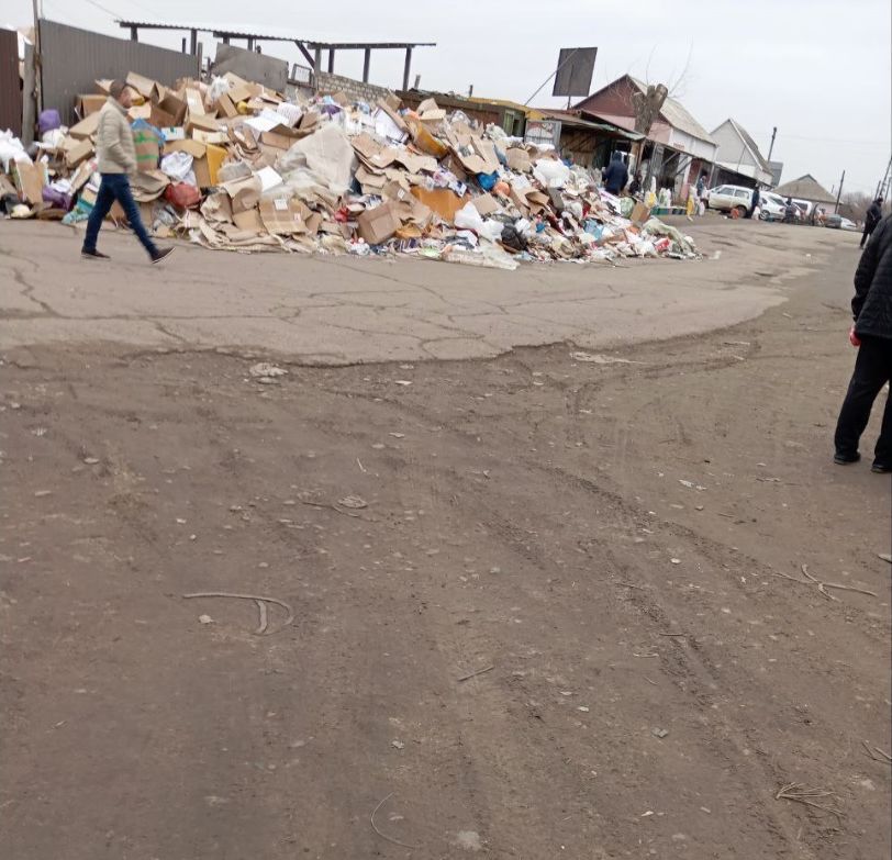 Проблема сміття у Старобільську не втрачає свою актуальність | Новини Старобільськ