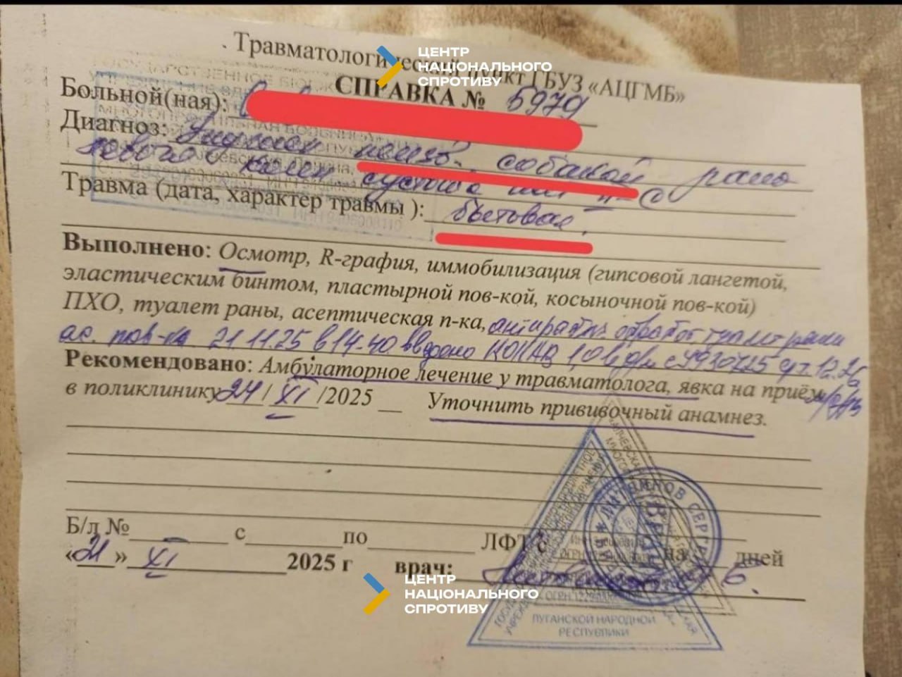 На окупованій Луганщині зростає кількість нападів зграї диких собак