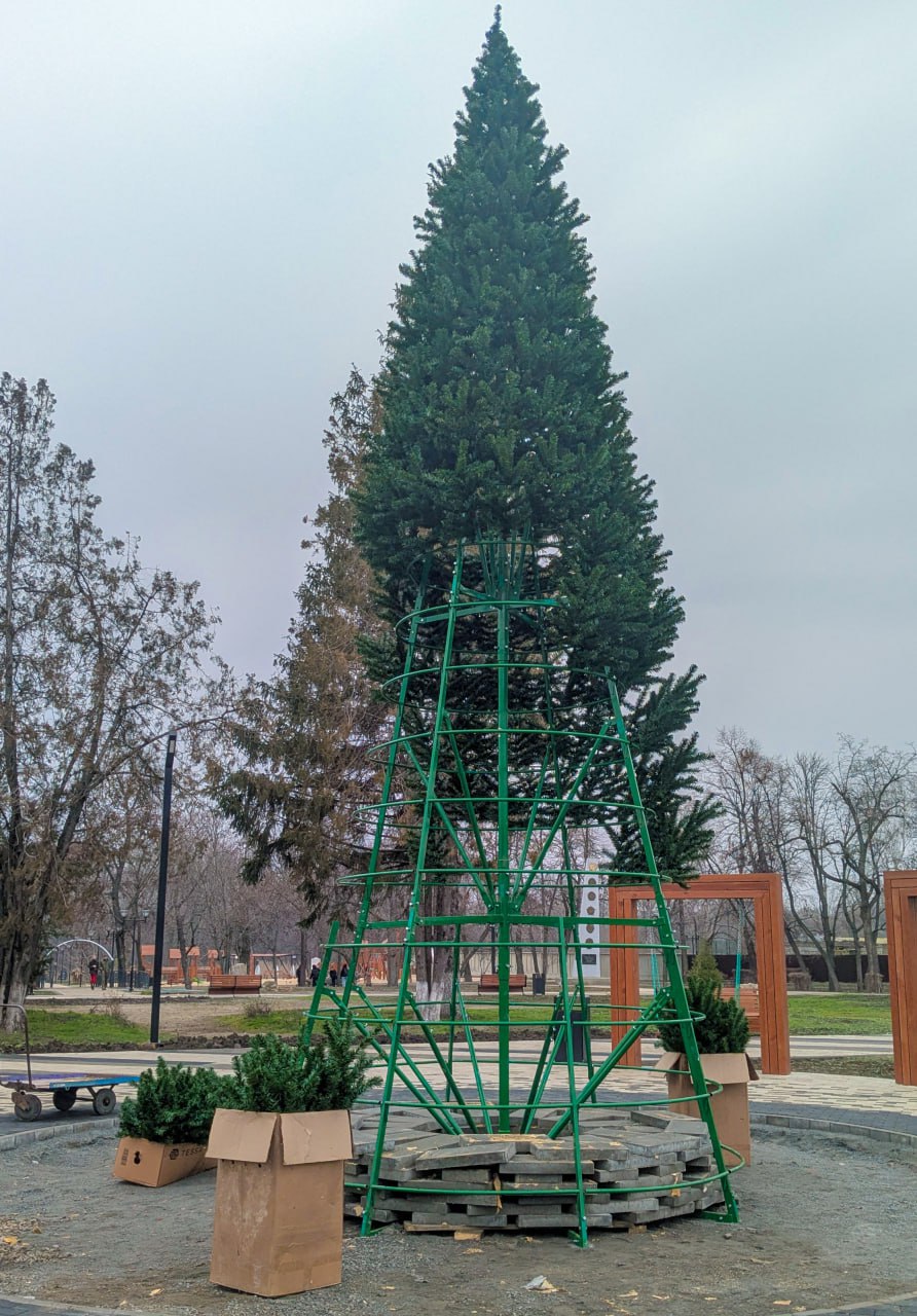 У Старобільську встановлюють головну ялинку | Новини Старобільськ