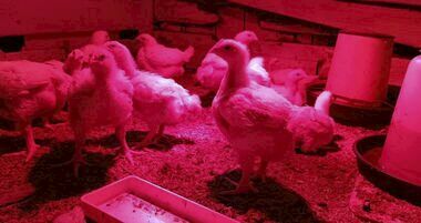 Мінігранти на бізнес для впо від Mercy Corps