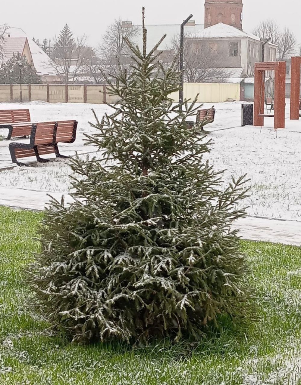 Трохи світлин з присипаного снігом Старобільська | Новини Старобільськ