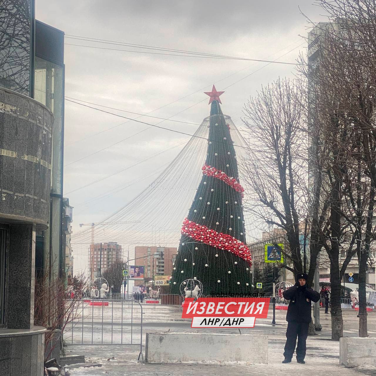 Ялинки не витримали