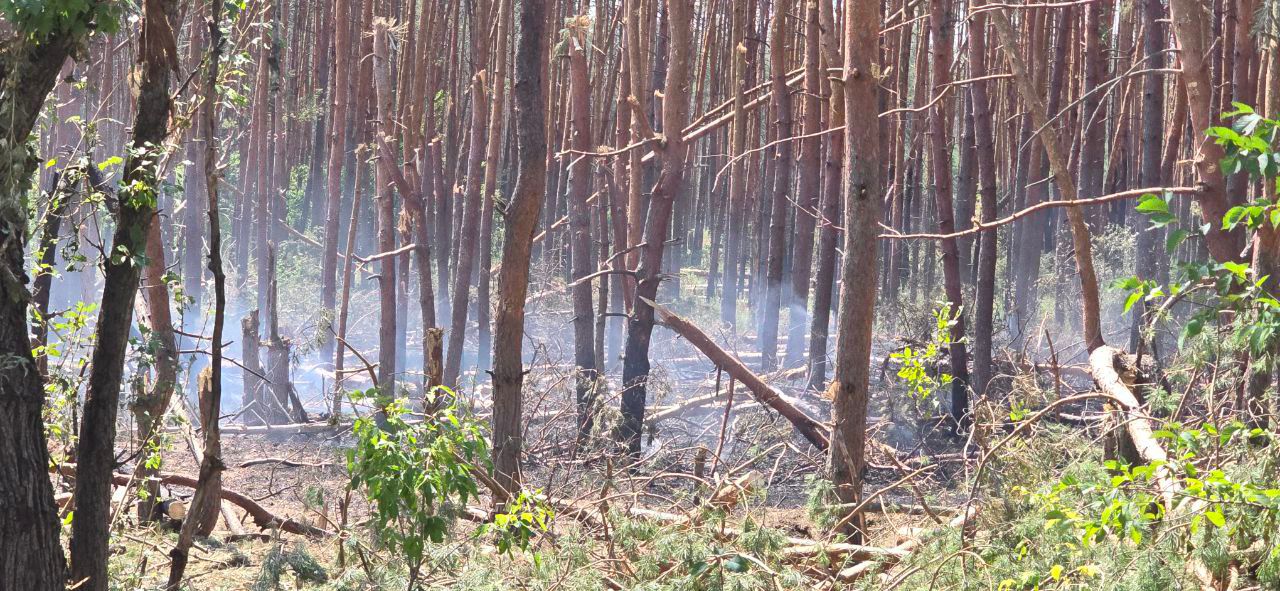 Екологічні збитки Луганщини внаслідок війни - катастрофічні масштаби