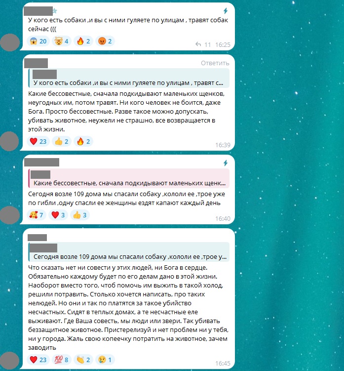 В окупованому Старобільську травили собак | Новини Старобільськ