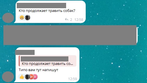 У Старобільську продовжують знаходити мертвих собак | Новини Старобільськ