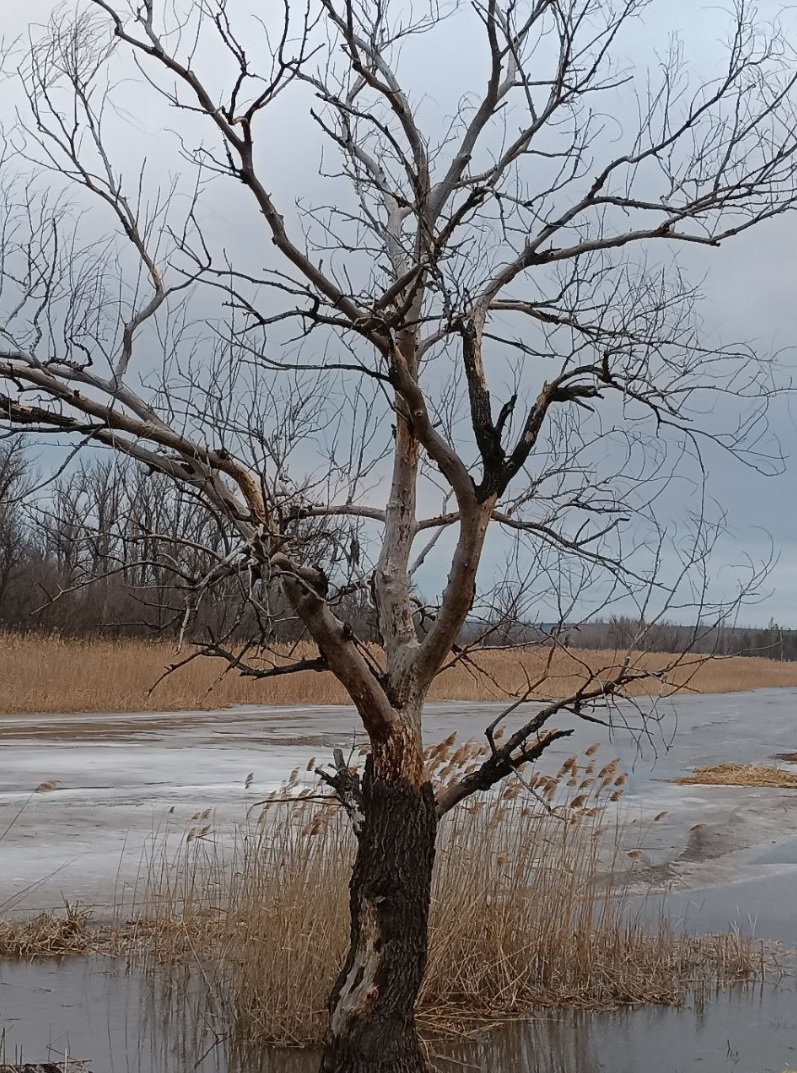 На Старобільщині вода підіймається