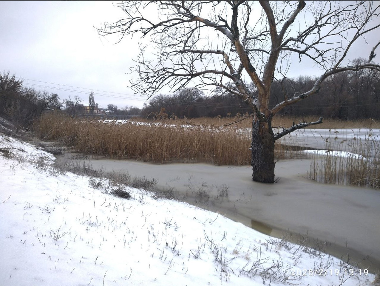 Старобільськ: фото 19 та 20 лютого | Новини Старобільськ