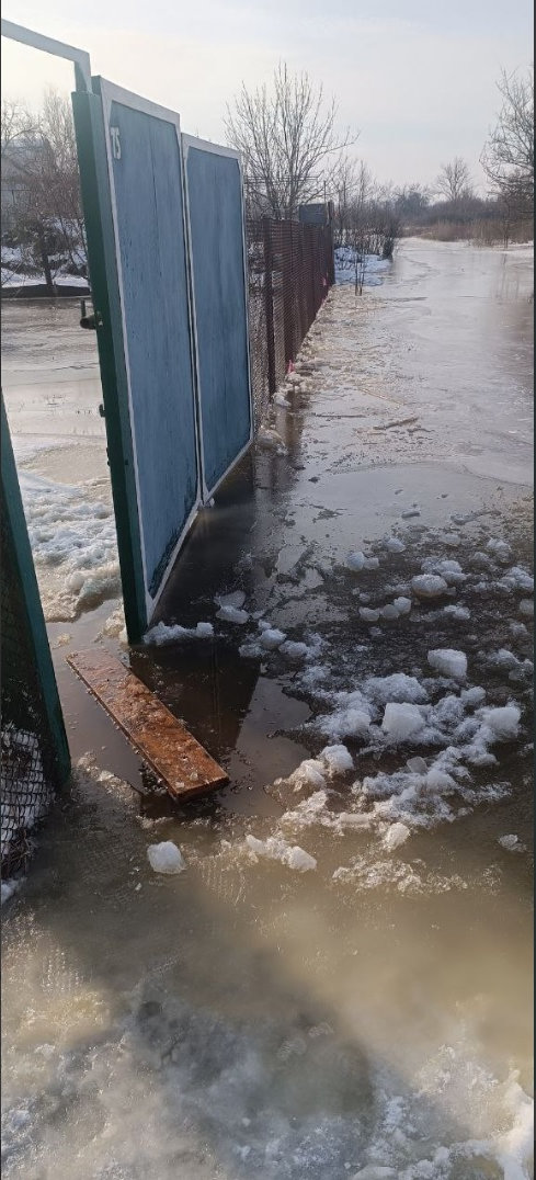 Рівень води в річці Айдар продожує зростати | Новини Старобільськ