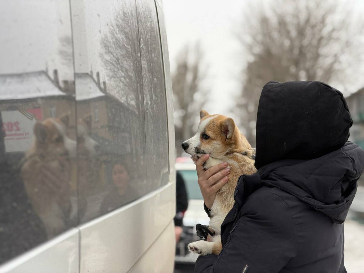 Старшокласників з окупованих Лисичанська та Рубіжного відправили на навчання до Татарстану