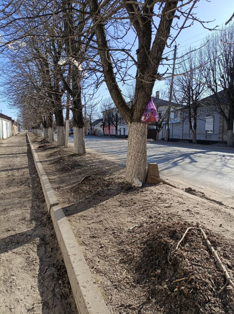 Сміття, сміття, сміття - люди у Старобільську обурені | Новини Старобільськ