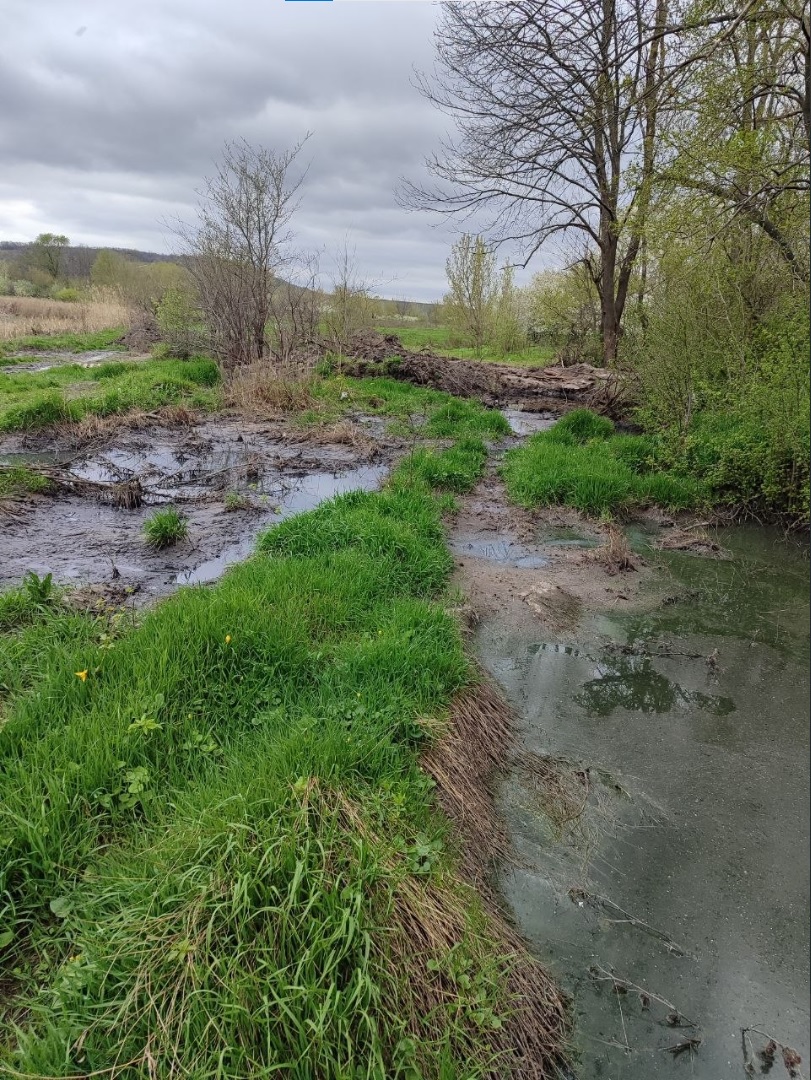 Локальна екологічна кастастрофа на Айдарі - відео | Новини Старобільськ