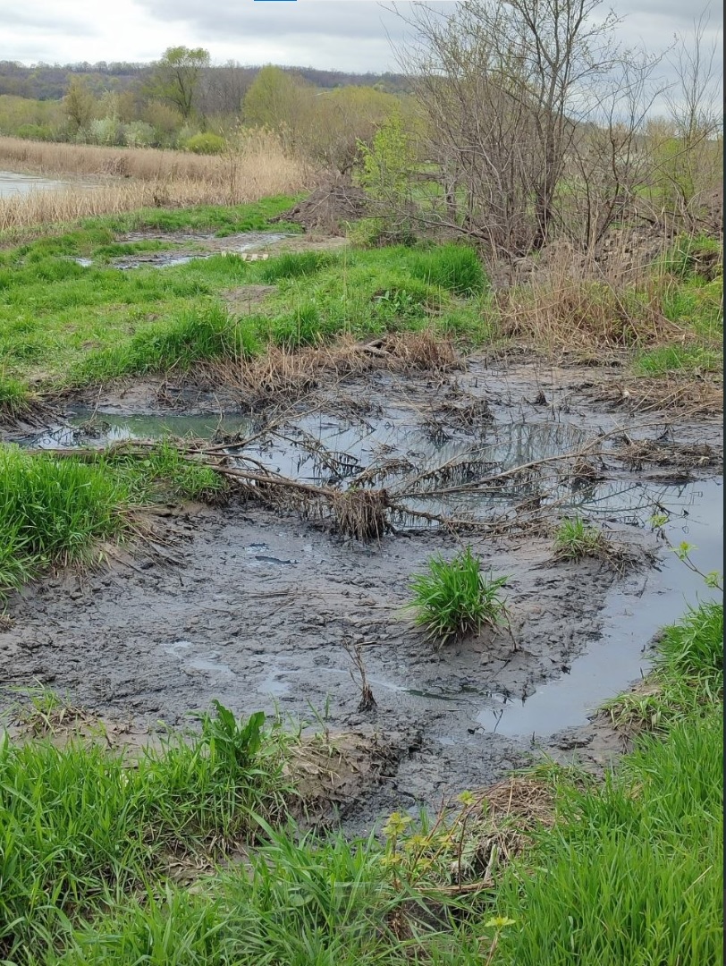 Локальна екологічна кастастрофа на Айдарі - відео | Новини Старобільськ