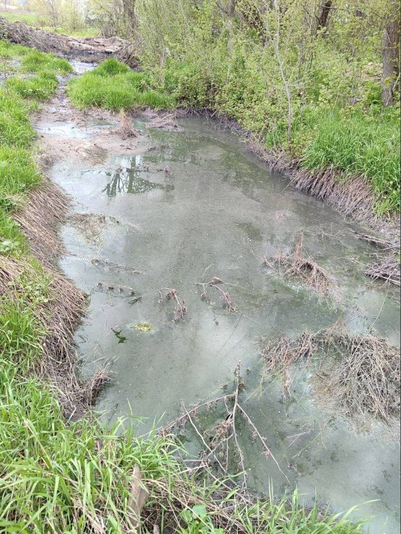 Локальна екологічна кастастрофа на Айдарі - відео | Новини Старобільськ