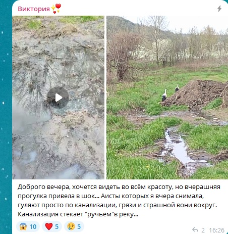 Локальна екологічна кастастрофа на Айдарі - відео | Новини Старобільськ