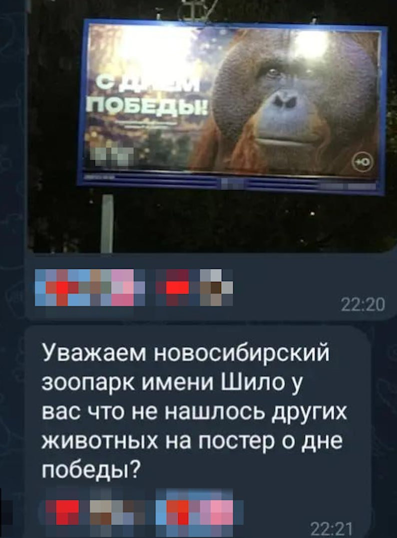 У Новосибірську росіян з Днем перемоги привітала мавпа - вони образились