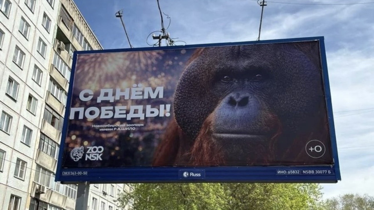 У Новосибірську росіян з Днем перемоги привітала мавпа - вони образились