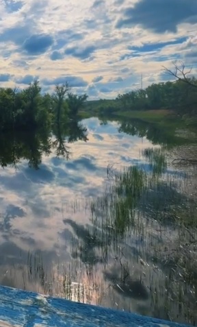 Відео зі Старобільського підвісного моста | Новини Старобільськ