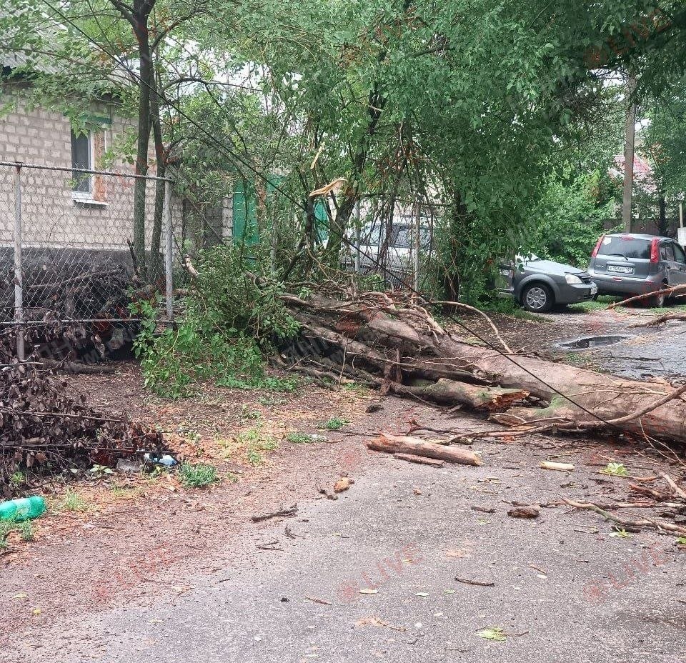 На окупованій Луганщині понад 40 тисяч людей залишилися без світла після негоди | Новини Старобільськ